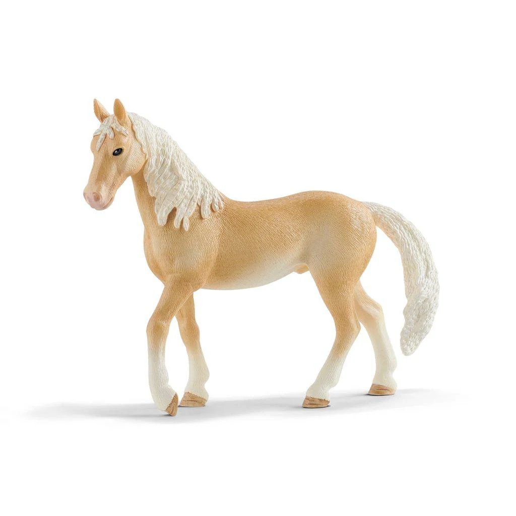 Achal Tekkiner stallion