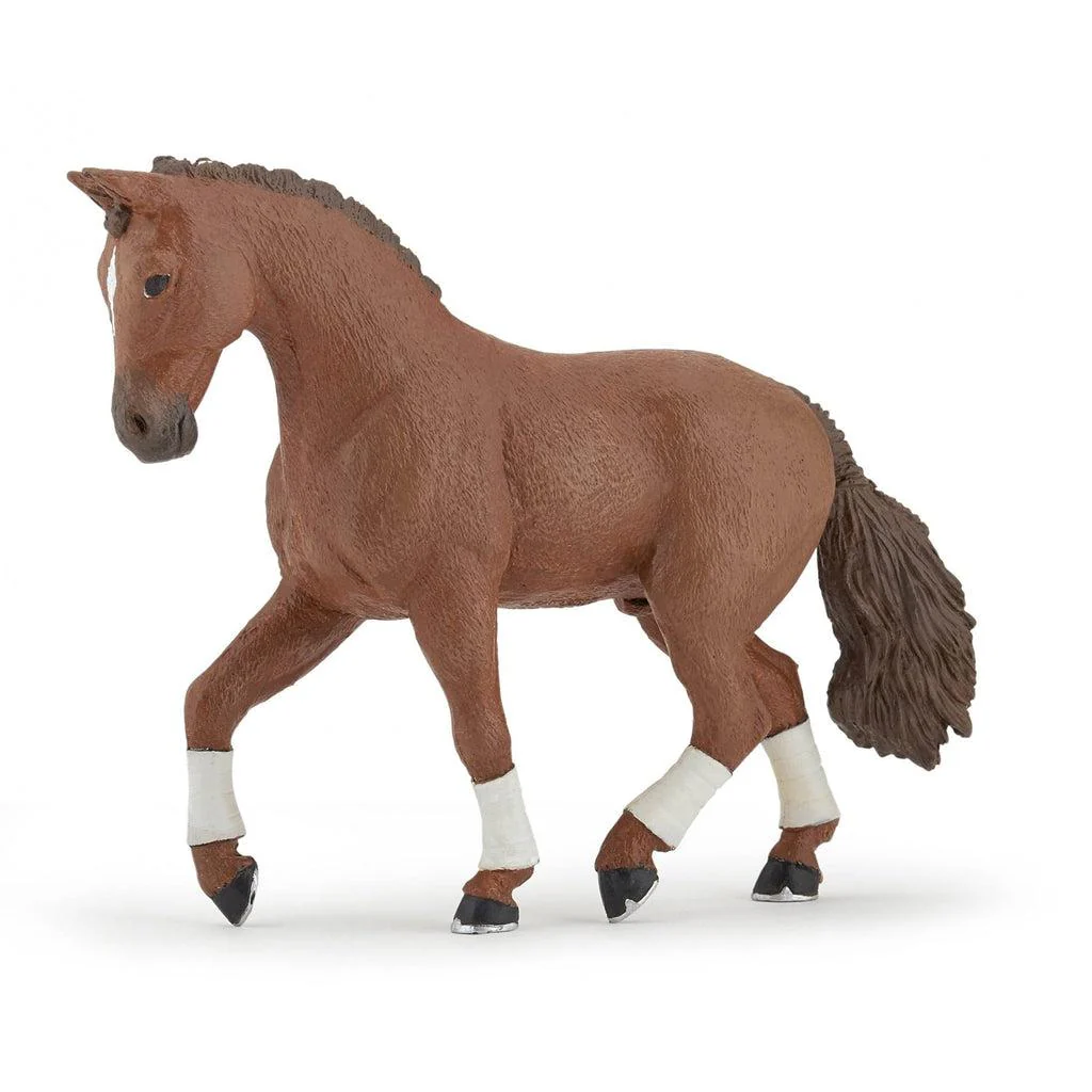 Alezan Hanovrian Horse