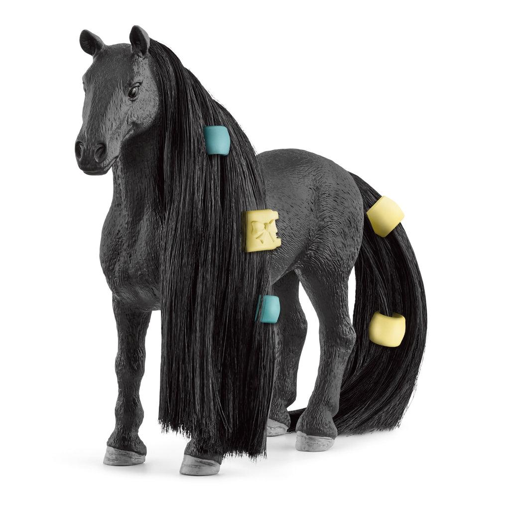 Beauty Horse Criollo Definitivo Mare