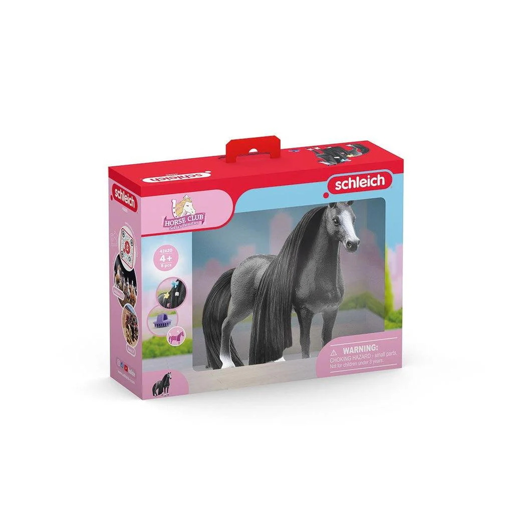 Beauty Horse Quarter Mare