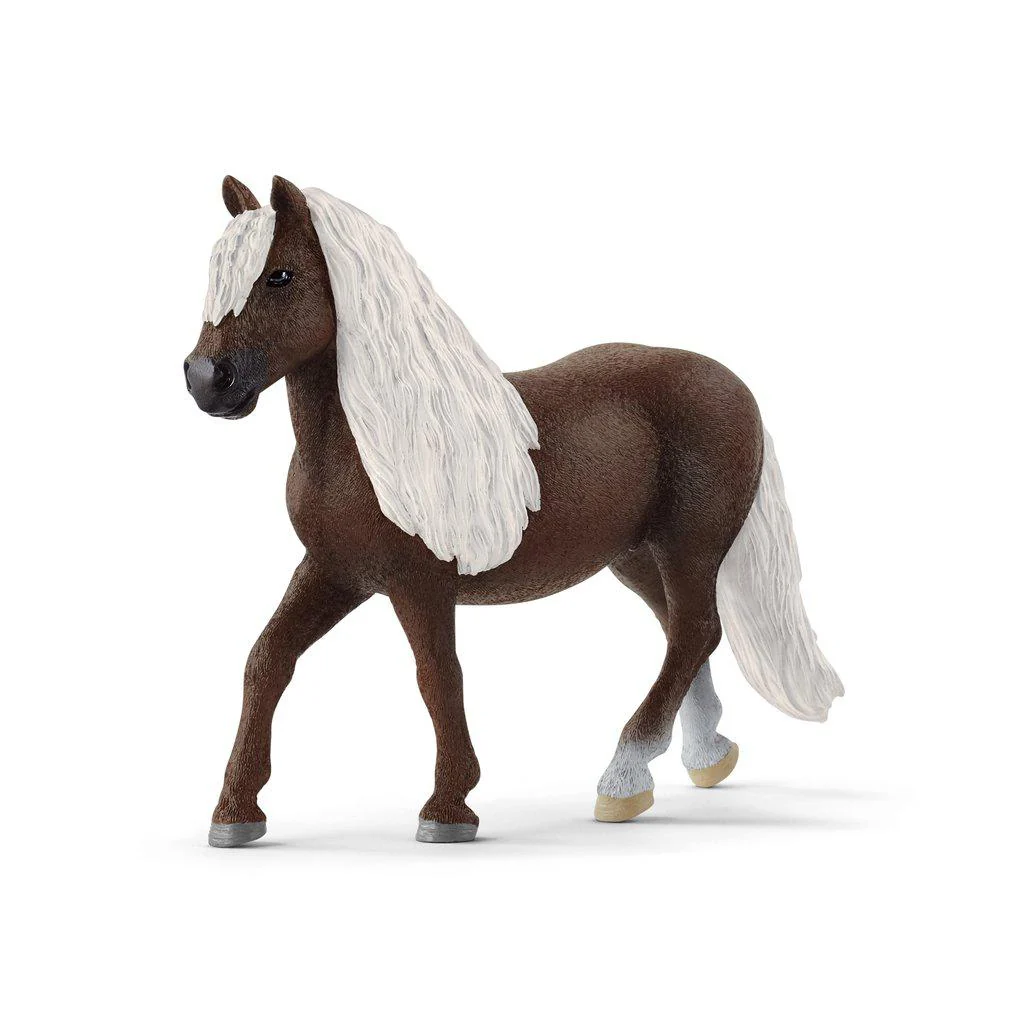 Black Forst Mare