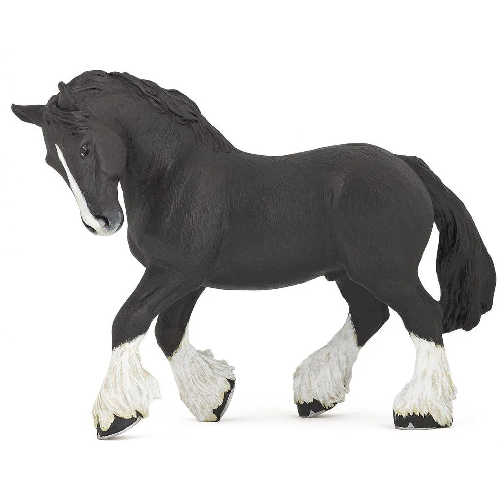 Black Shire Horse