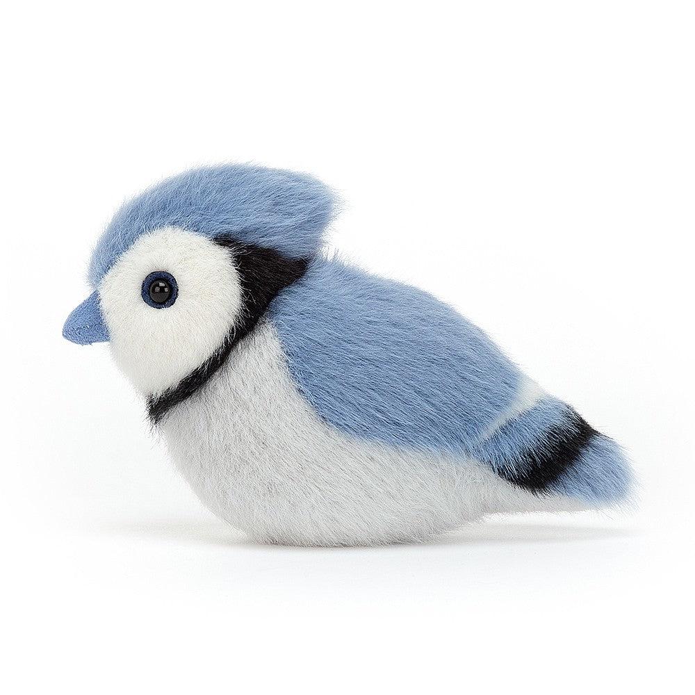 Blue Jay 4" - Birdling