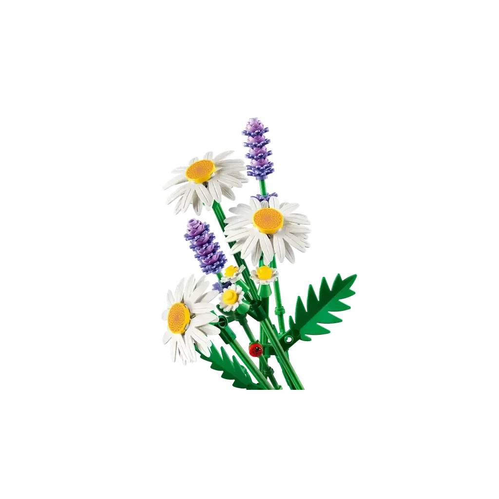 Daisies - Image 3