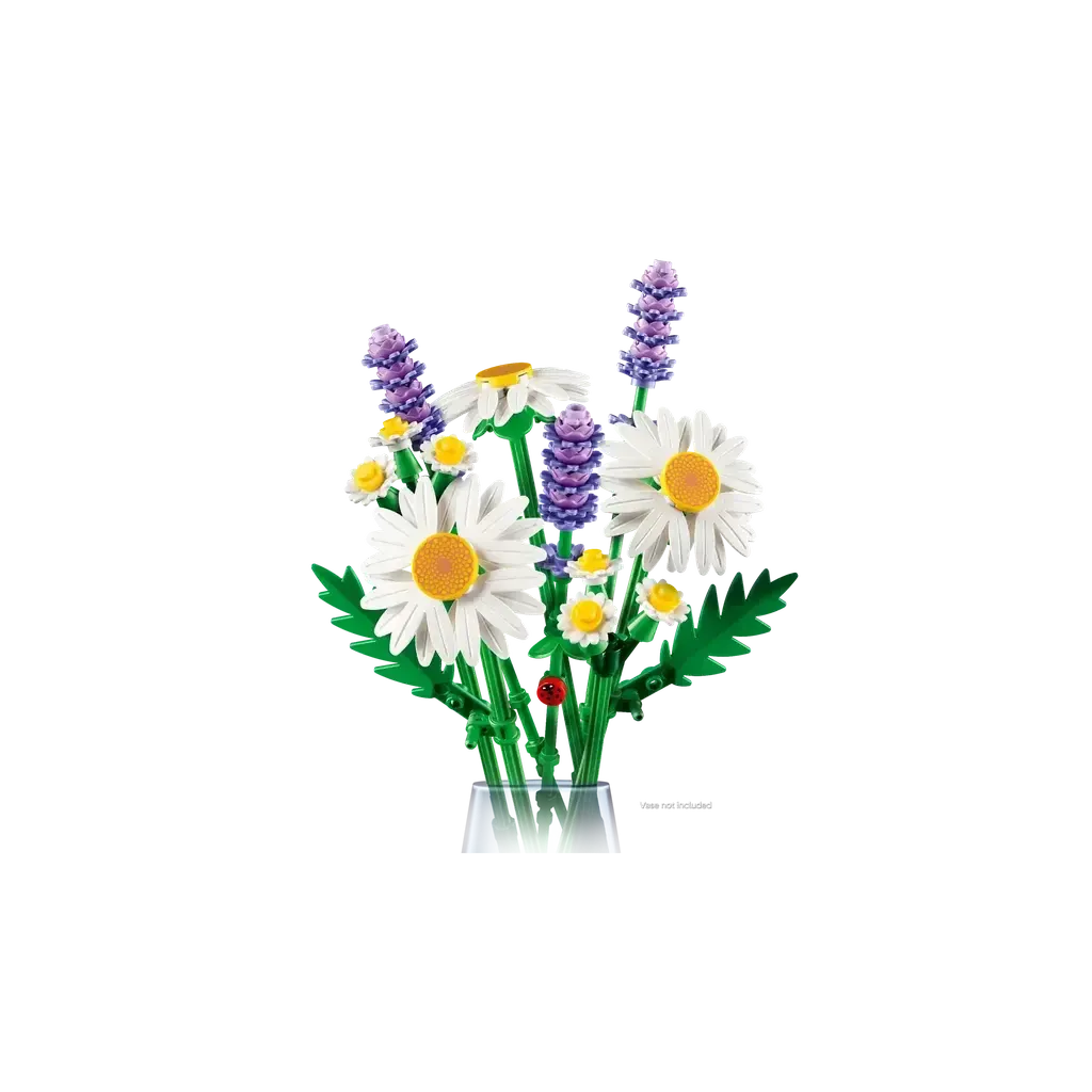 Daisies - Image 4