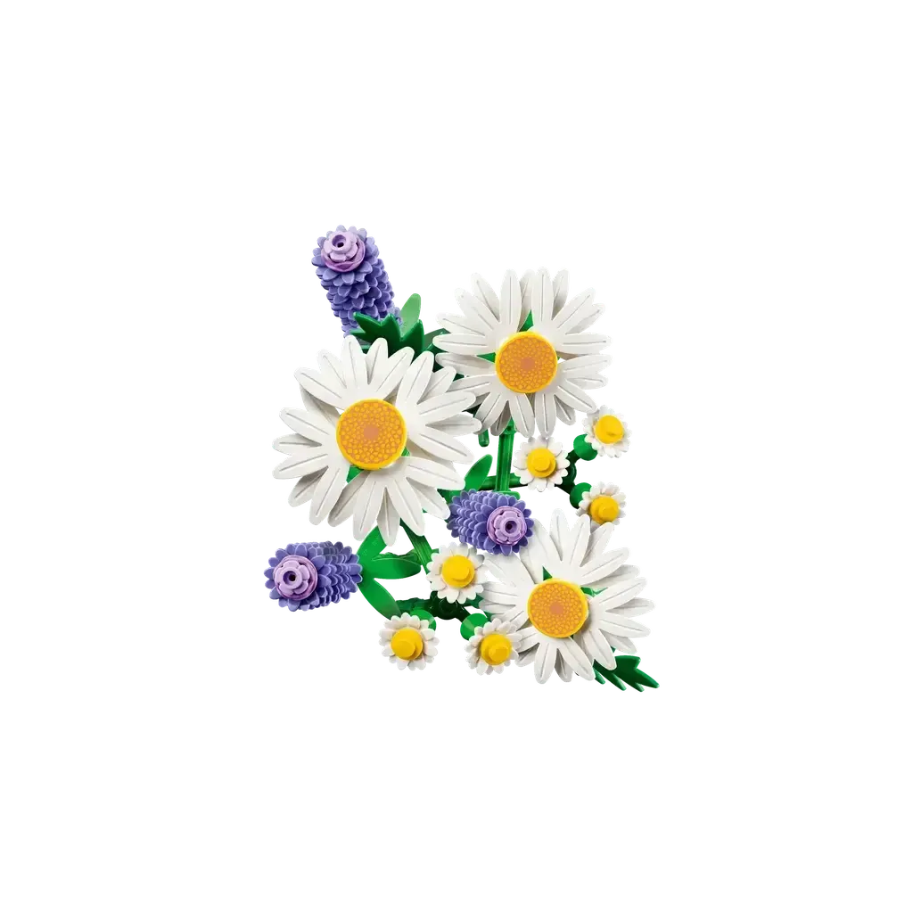 Daisies - Image 5