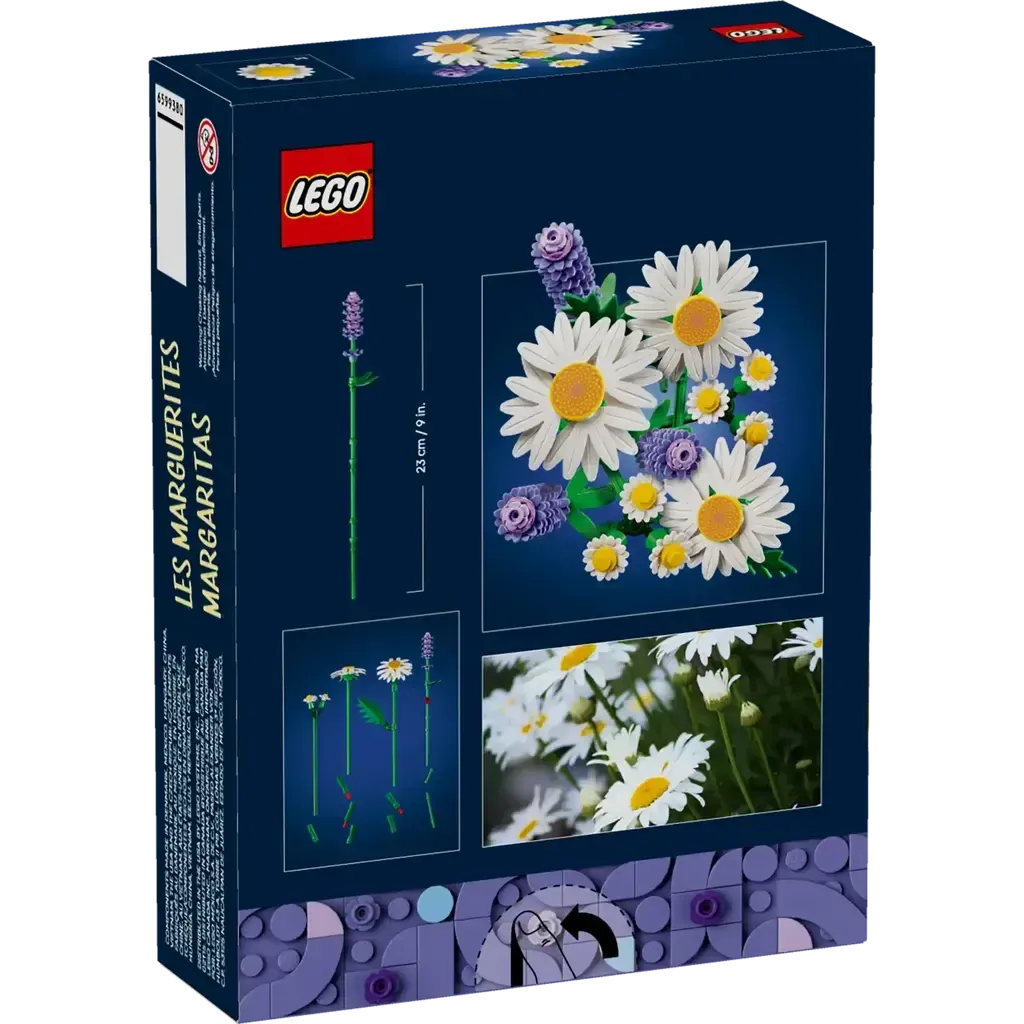 Daisies - Image 7