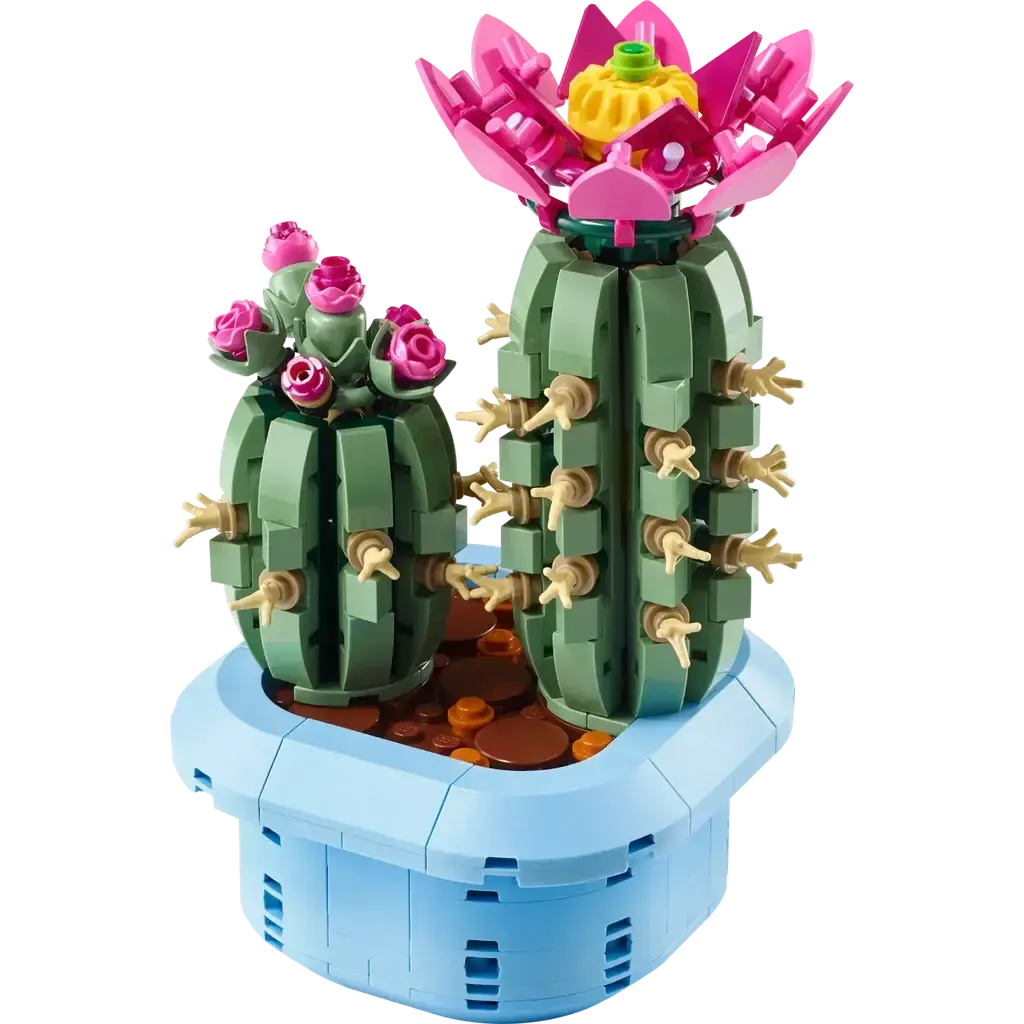 Flowering Cactus