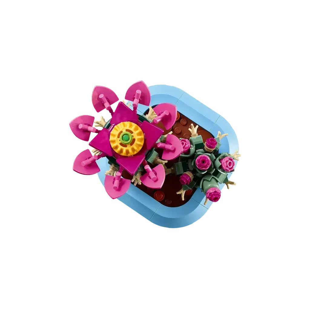 Flowering Cactus - Image 3