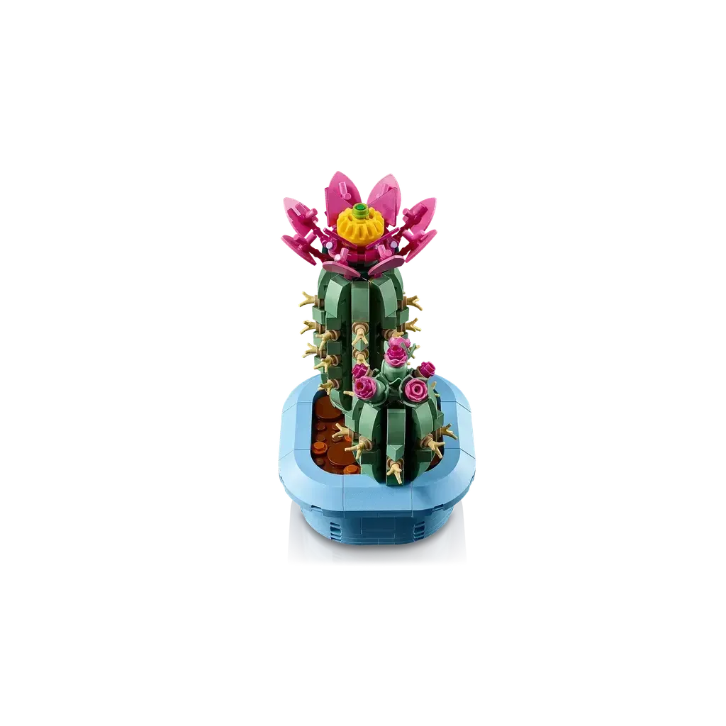 Flowering Cactus - Image 4