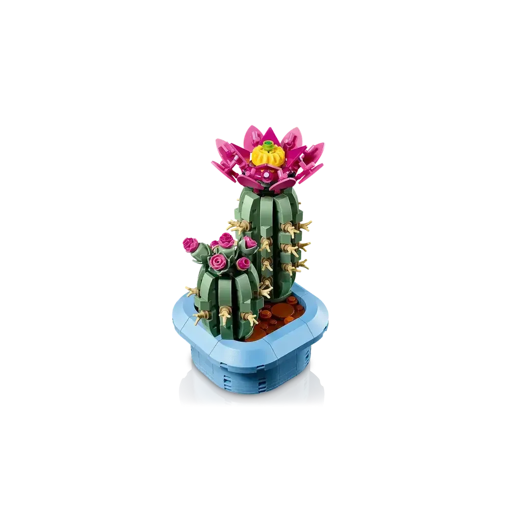 Flowering Cactus - Image 5