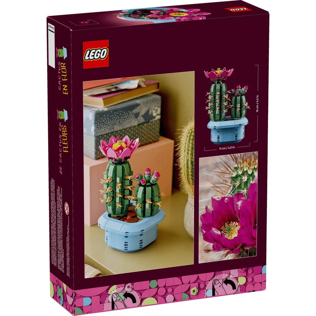 Flowering Cactus - Image 6