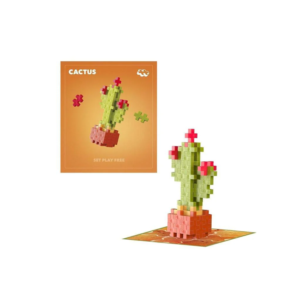 Calm Cactus