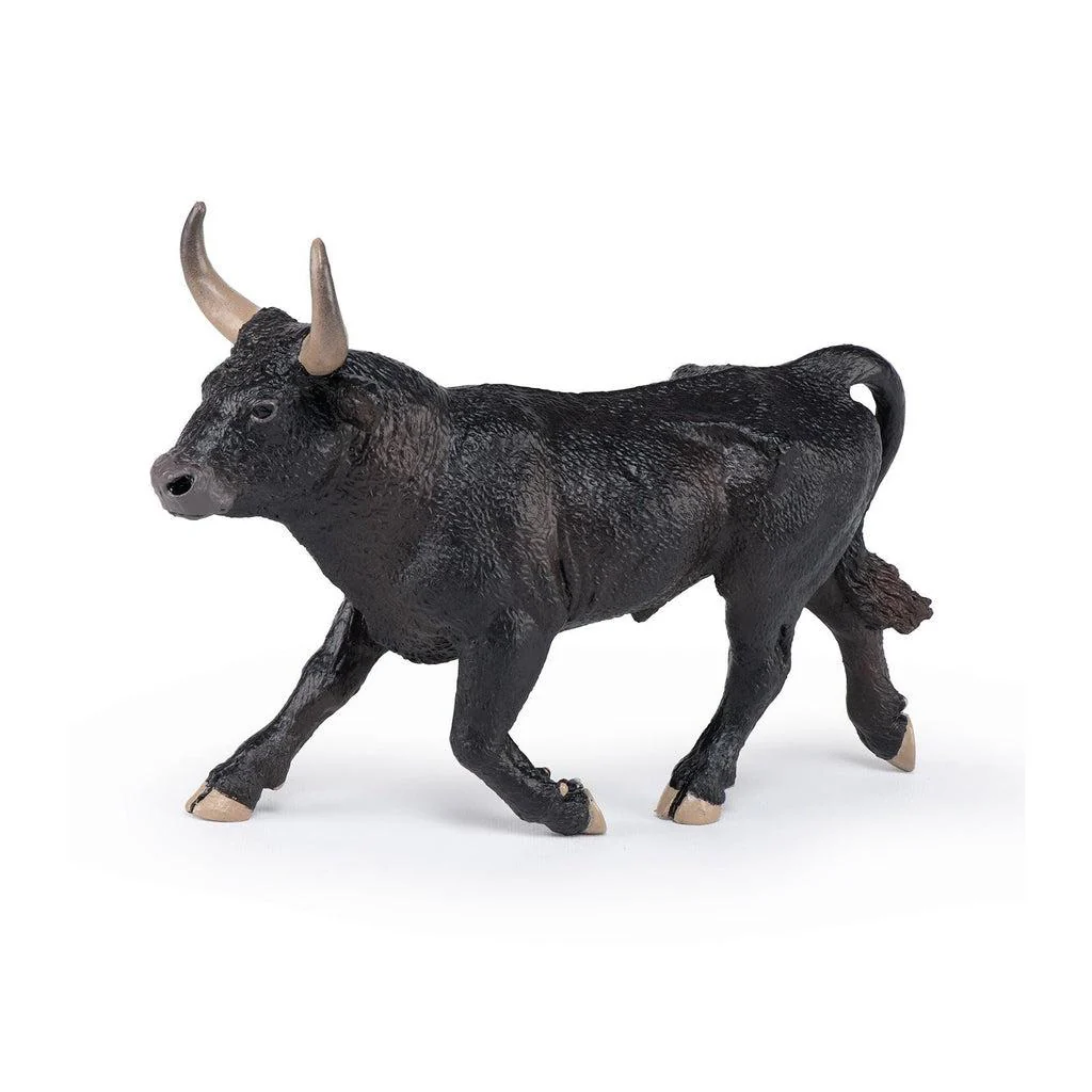 Camargue Bull