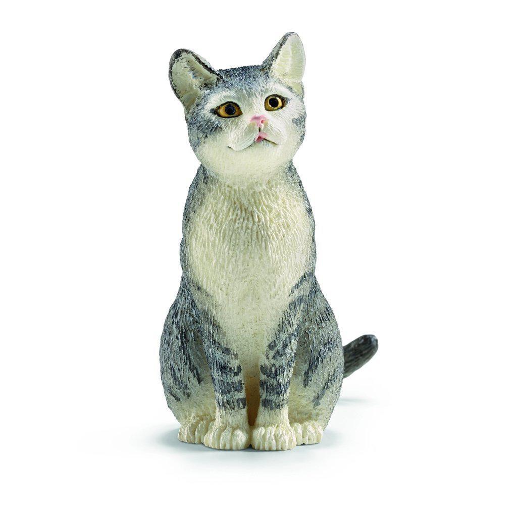 Cat, Sitting