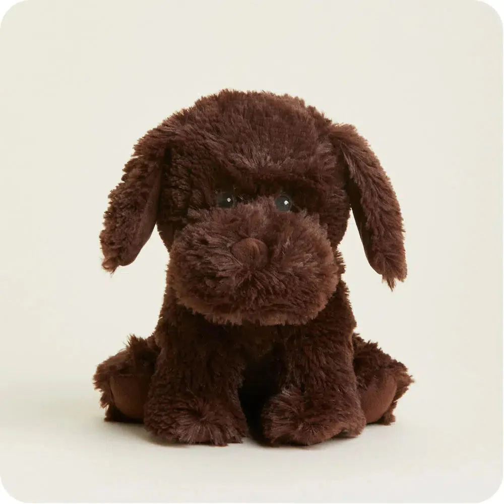 Chocolate Lab - Warmies