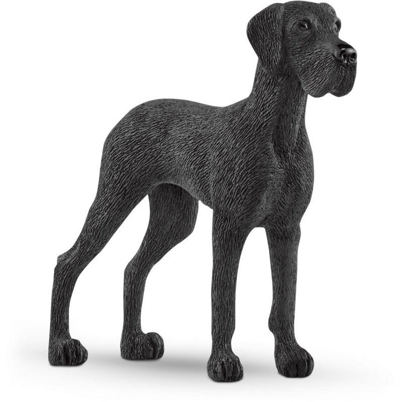 Great Dane