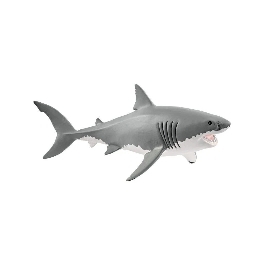 Great White Shark