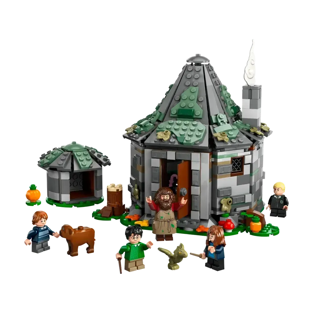 Hagrid's Hut: An Unexpected Visit