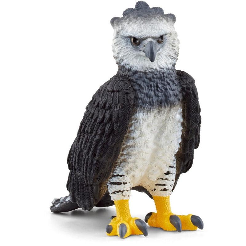 Harpy Eagle