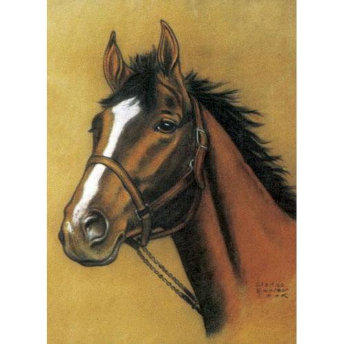 Horse Notebook