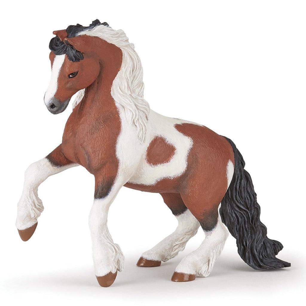 Irish Cob