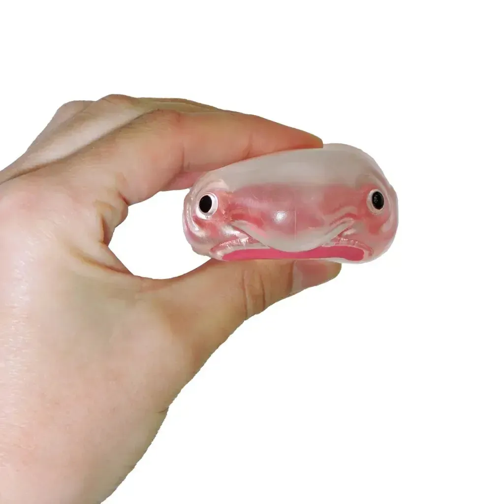 Itty Bitty Squidgy Oddity - Image 2