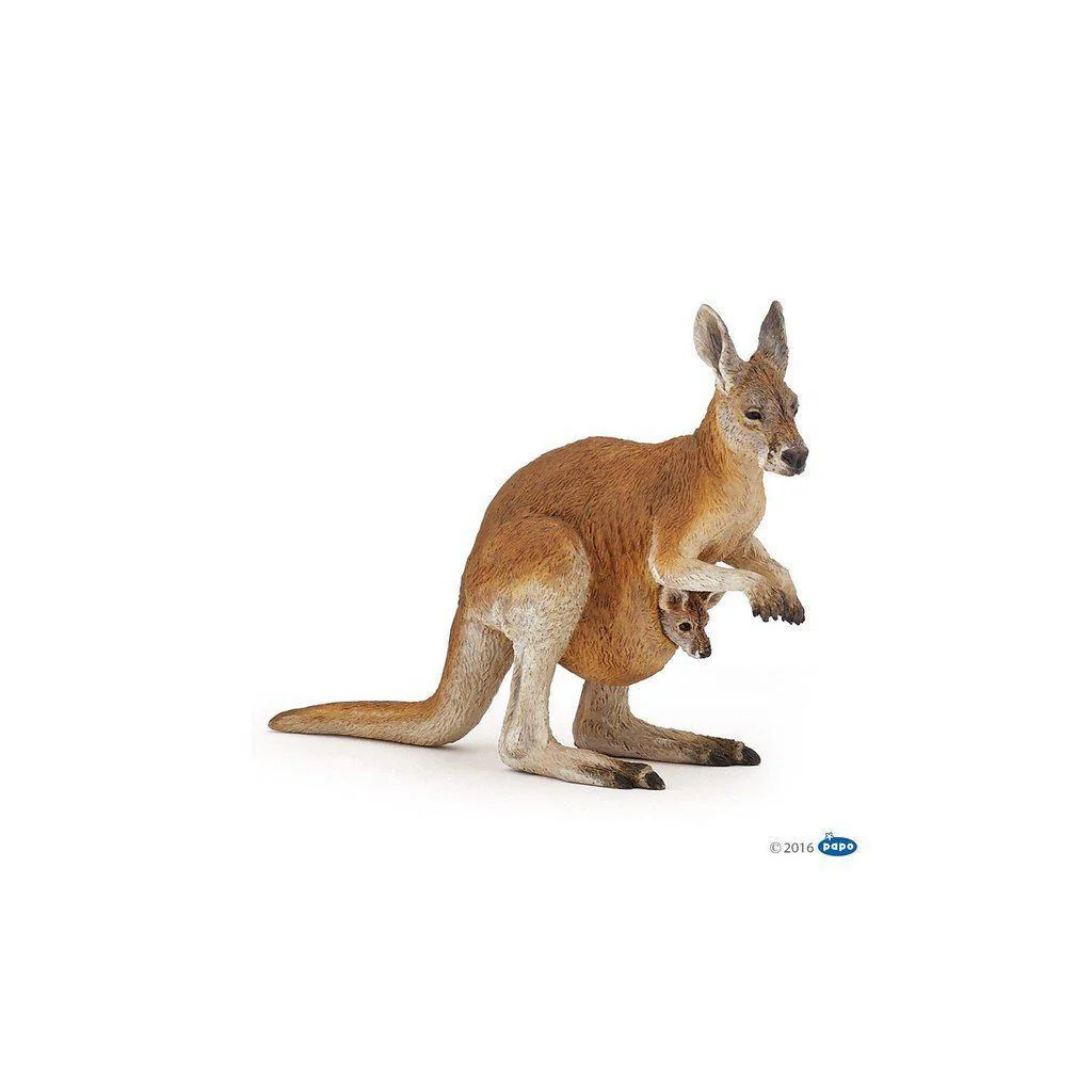 Kangaroo with Joey