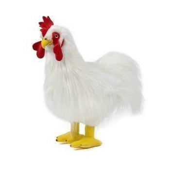 Rooster