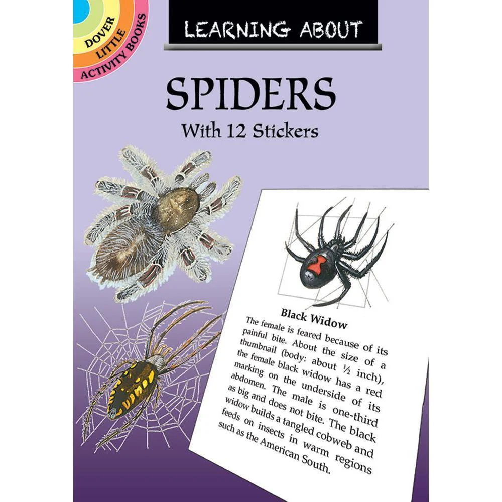 Learning About Spiders & Stickers