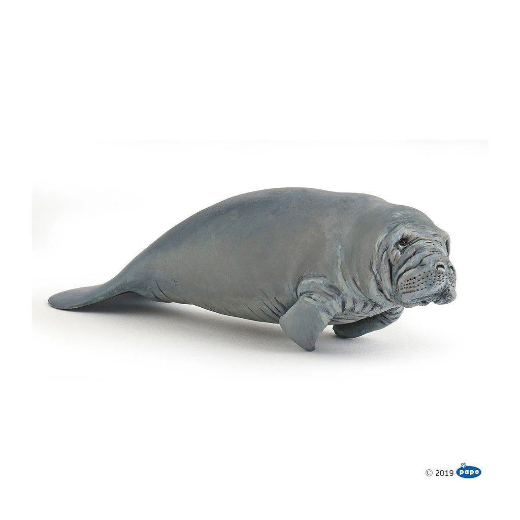 Manatee