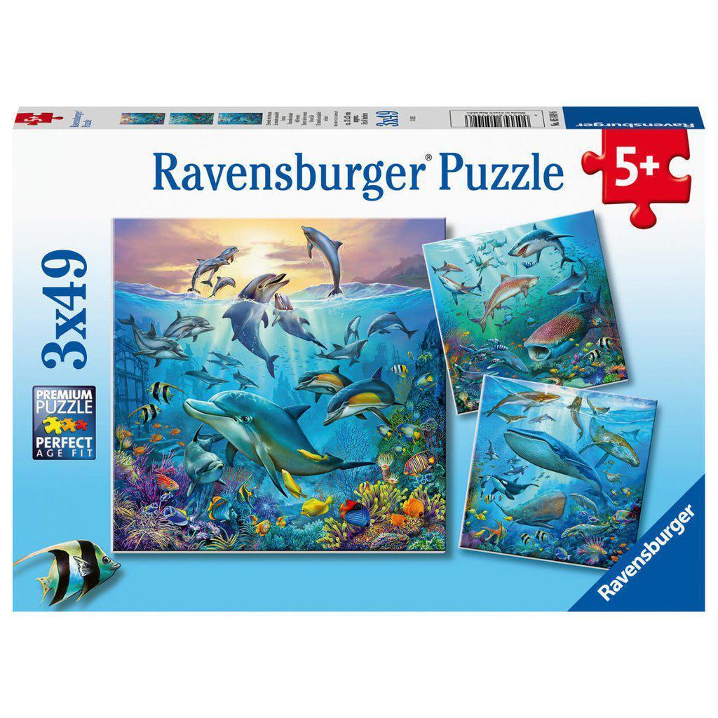 Ocean Life 3x 49pc