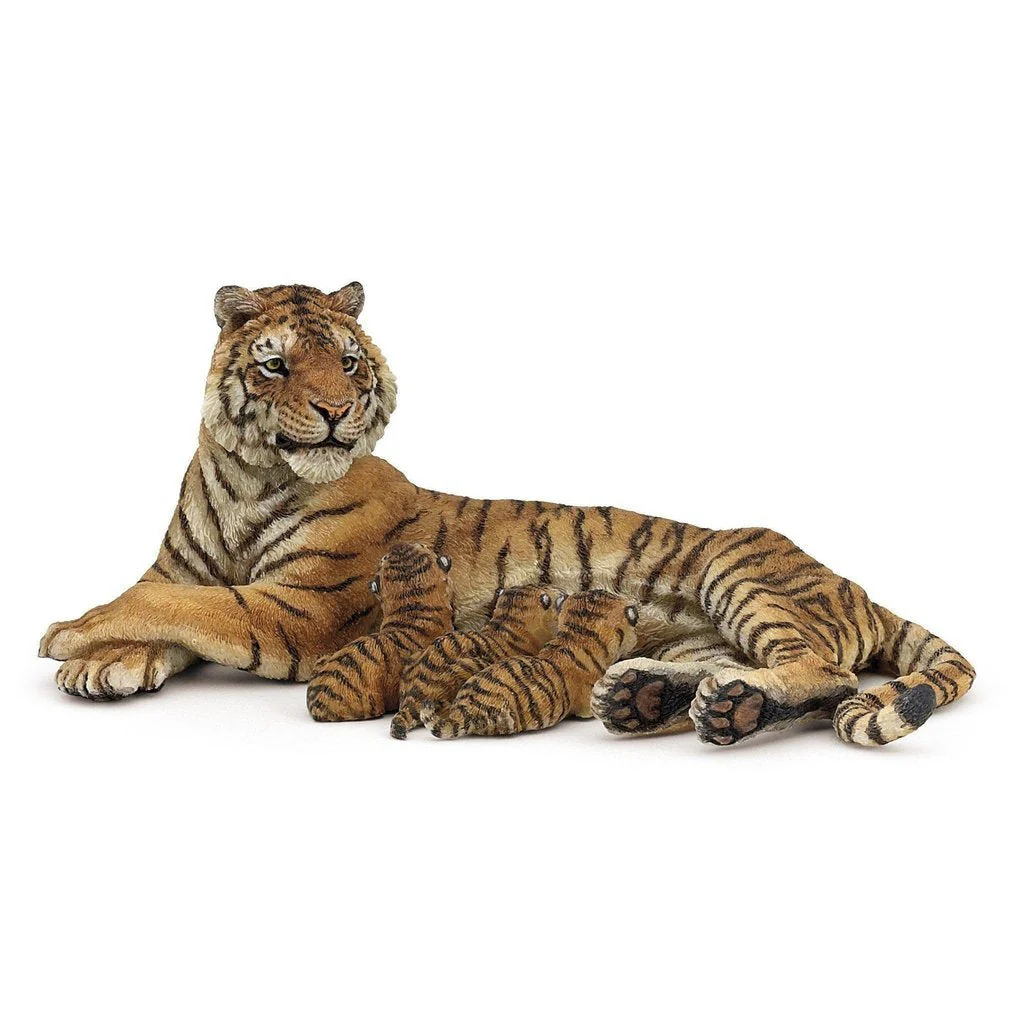 Lying Tigress Nursing
