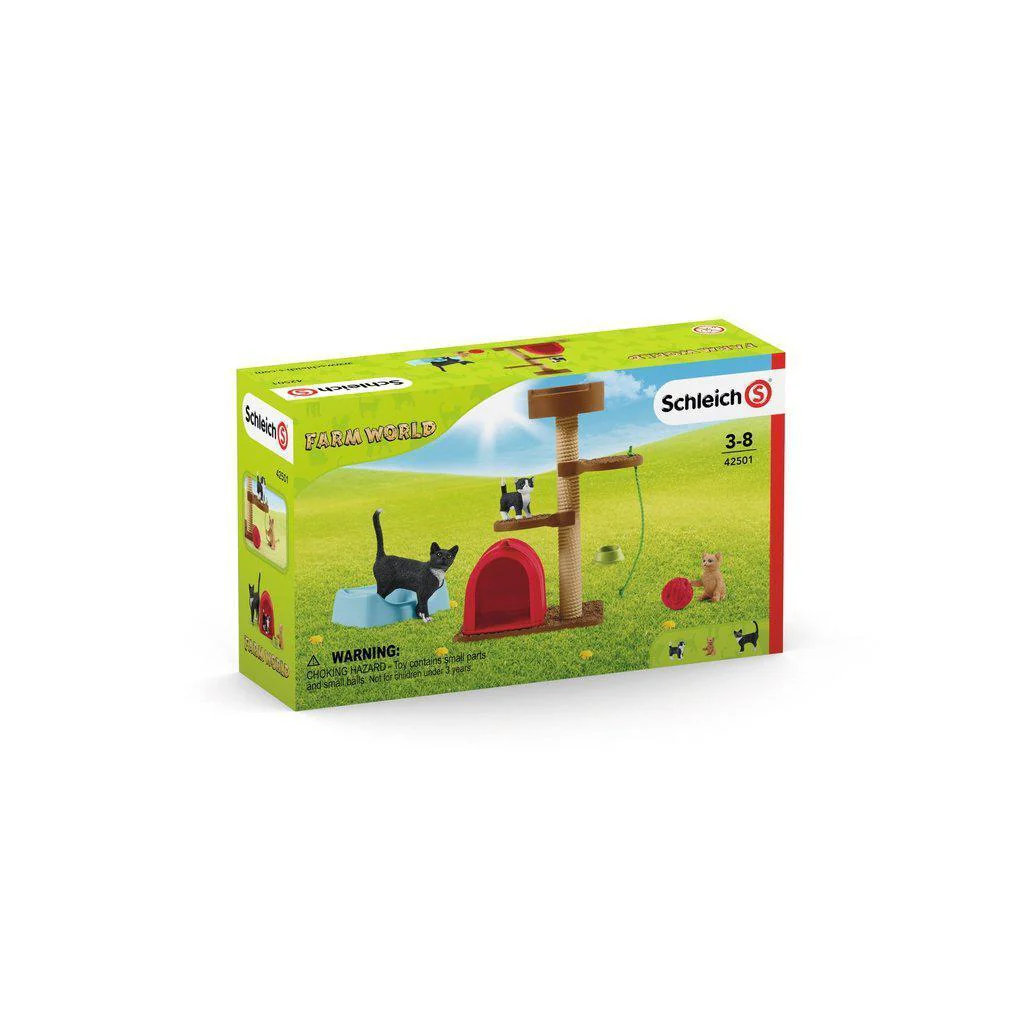 Playtime for Cute Cats