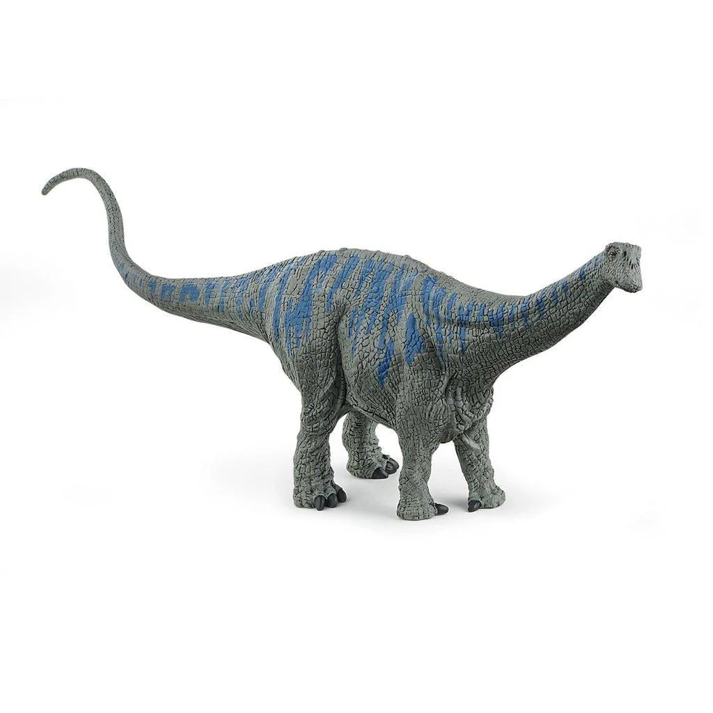 Brontosaurus
