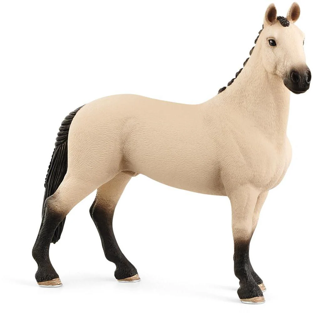 Hannoverian Gelding, Red Dun