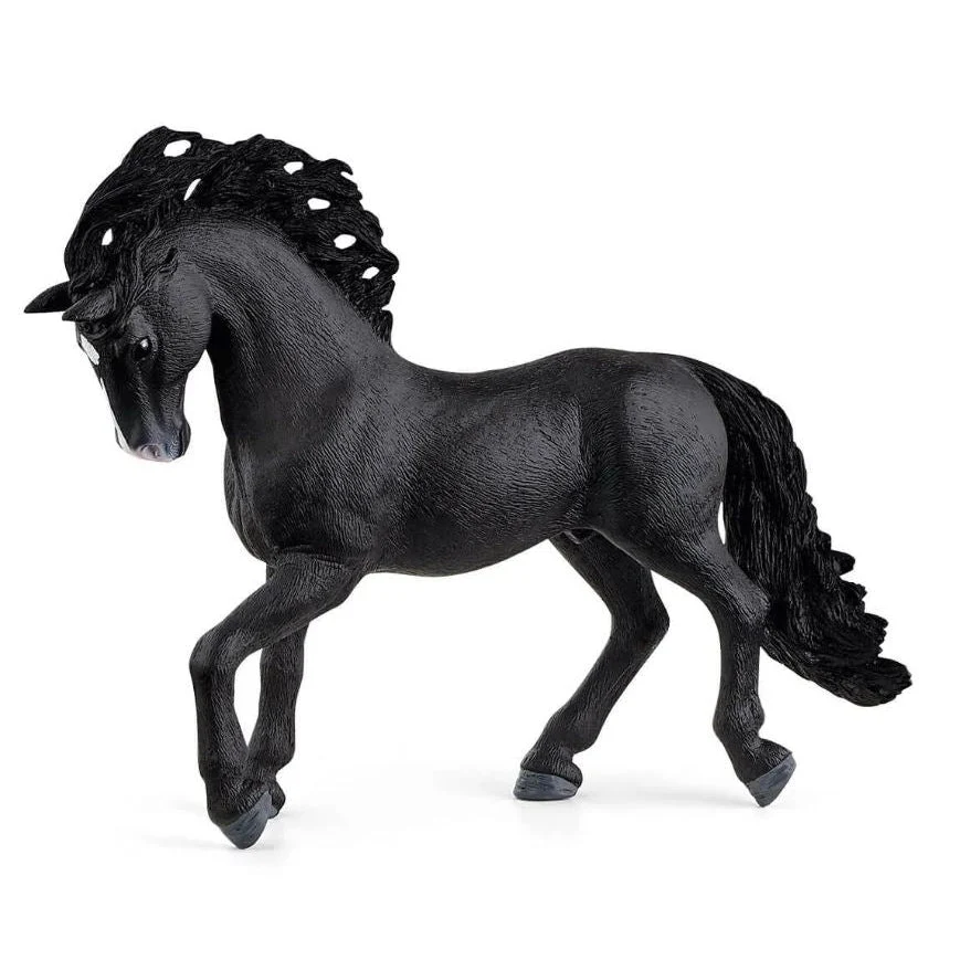 Pura Raza Española Stallion