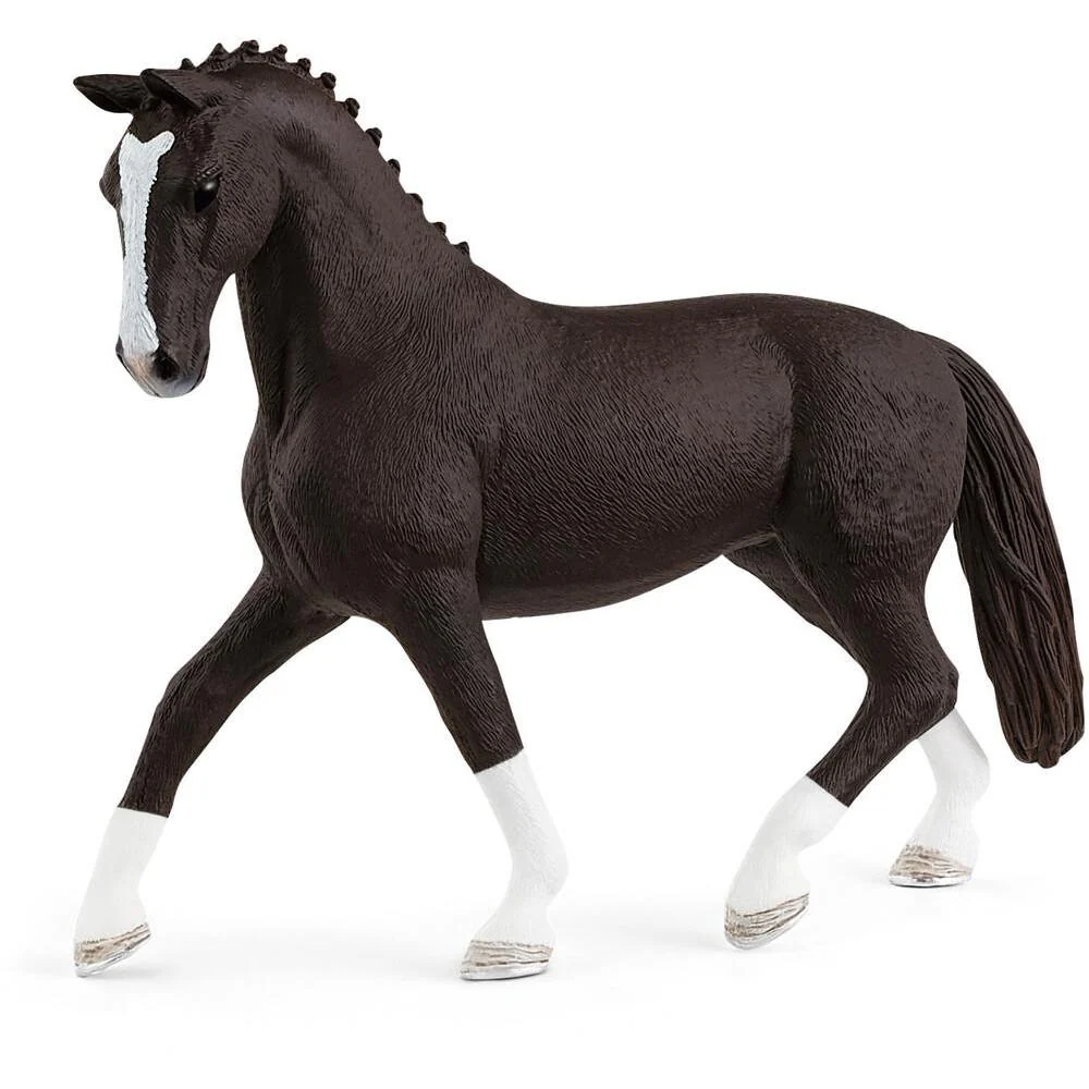 Black Hanoverian Mare