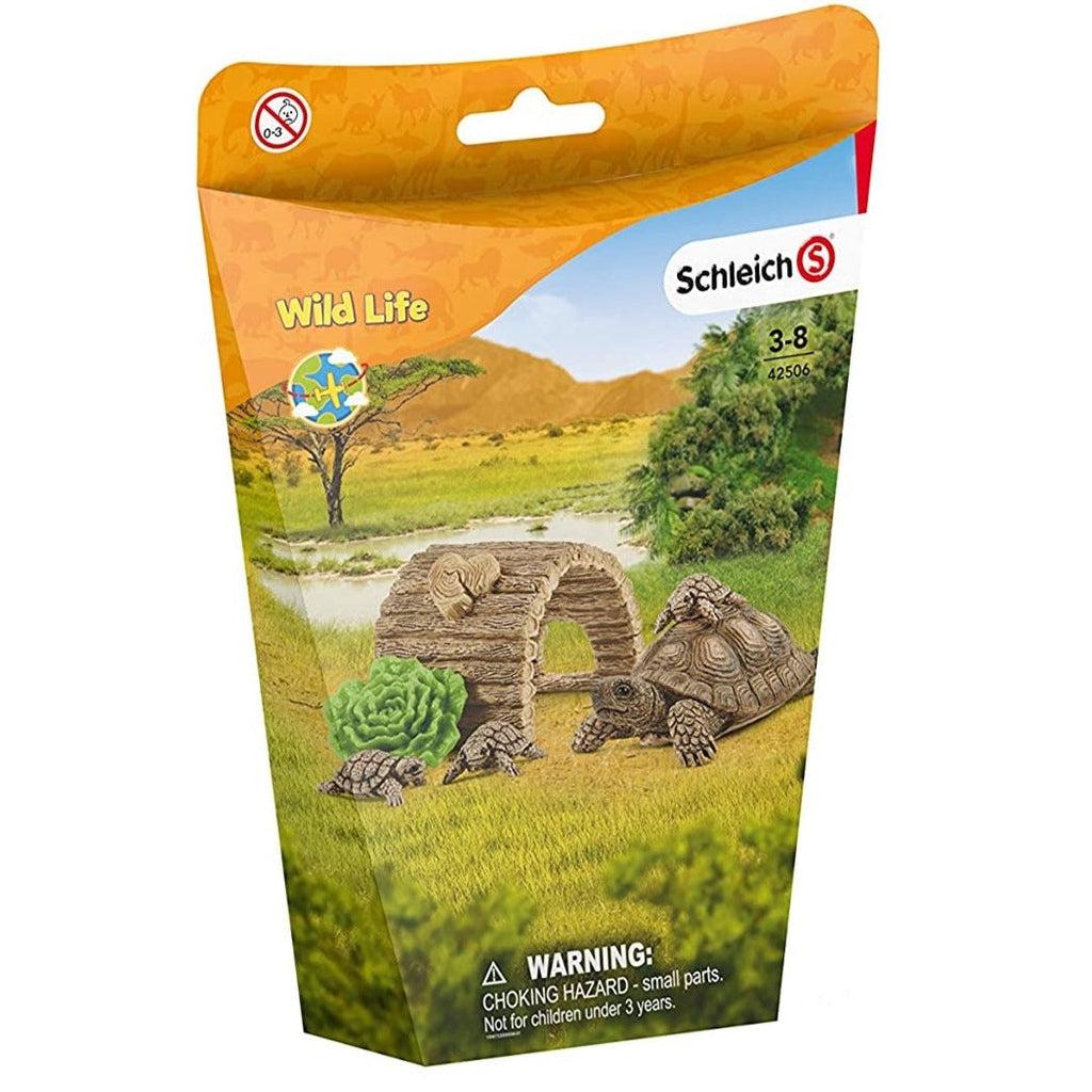 Tortoise Home