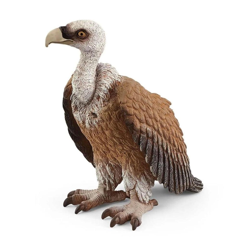 Vulture