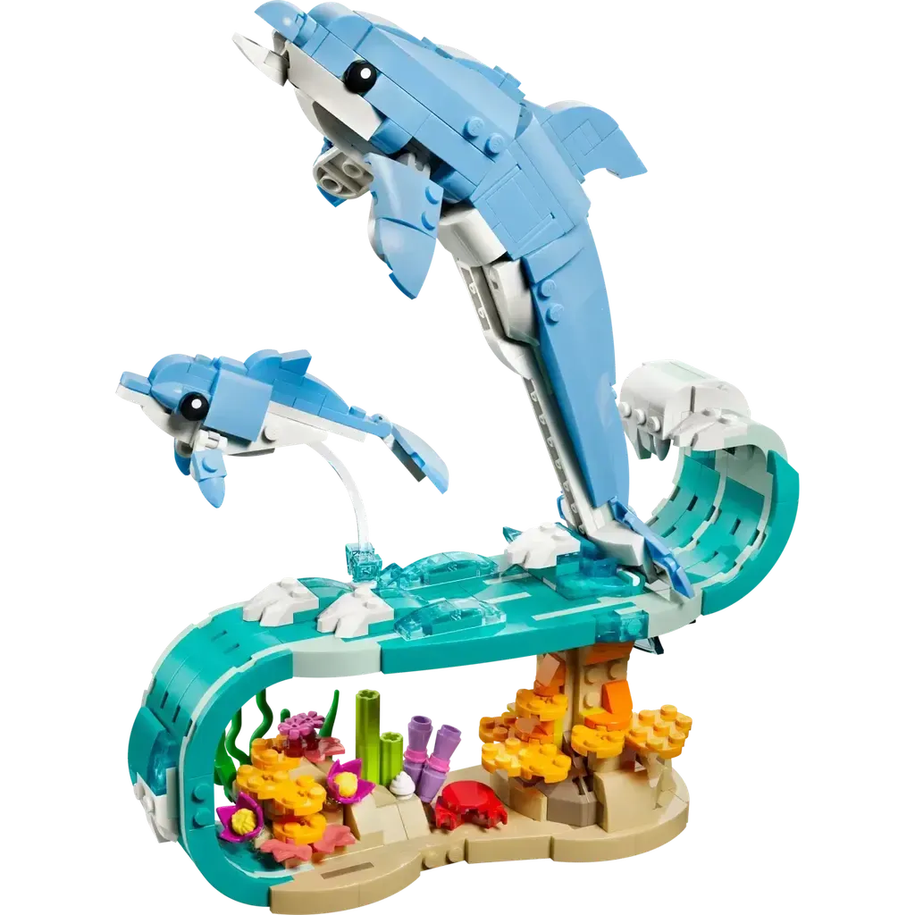 Sea Animals: Beautiful Dolphins