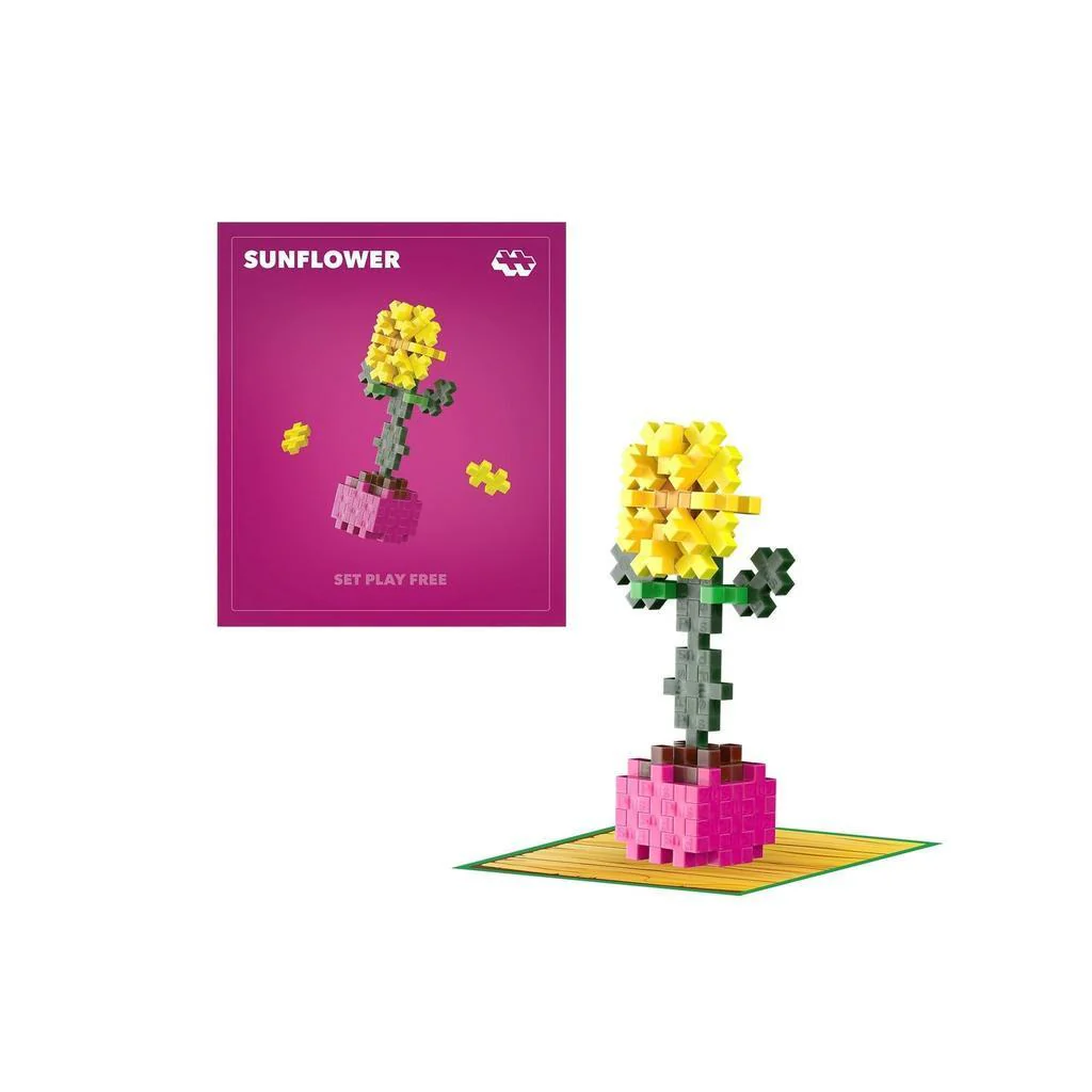 Sociable Sunflower