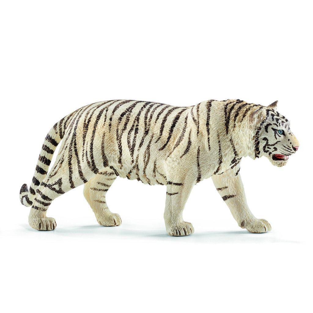 Tiger, White