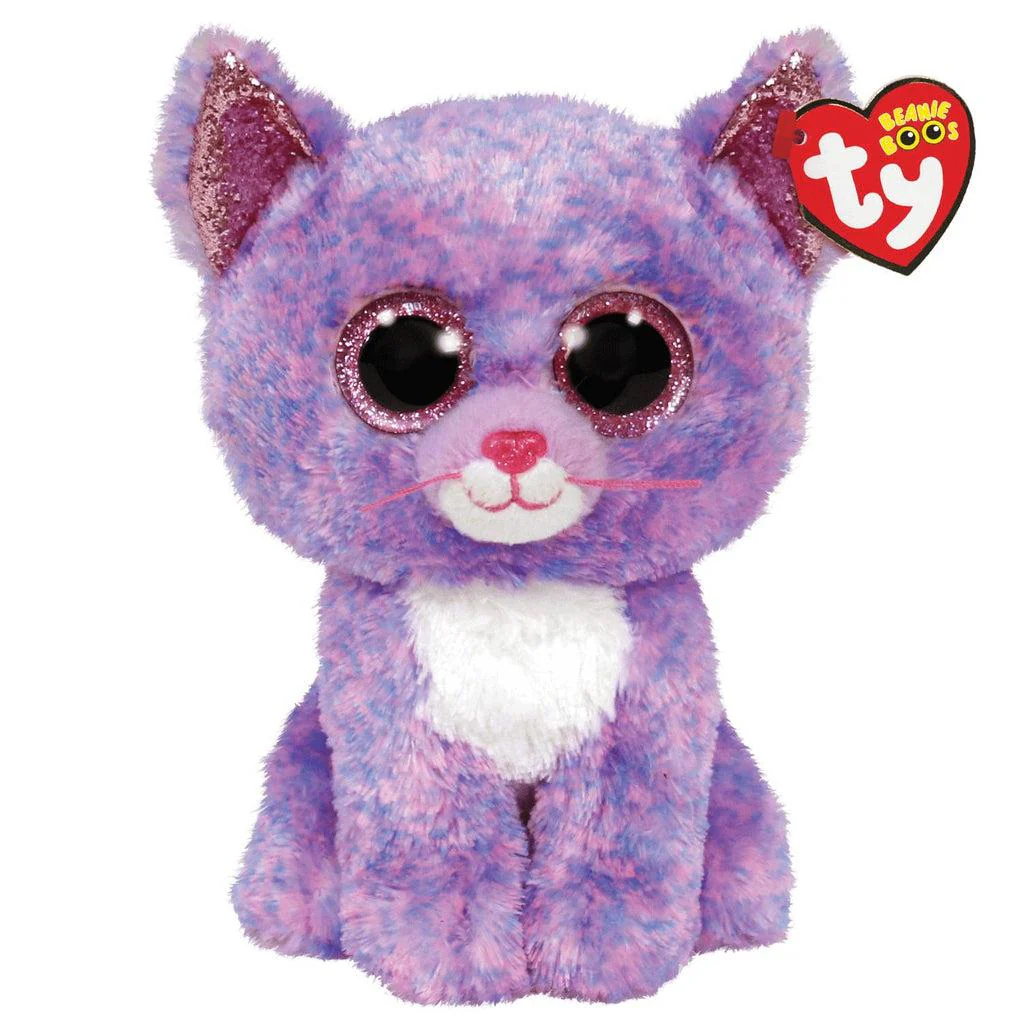 Cassidy the Cat