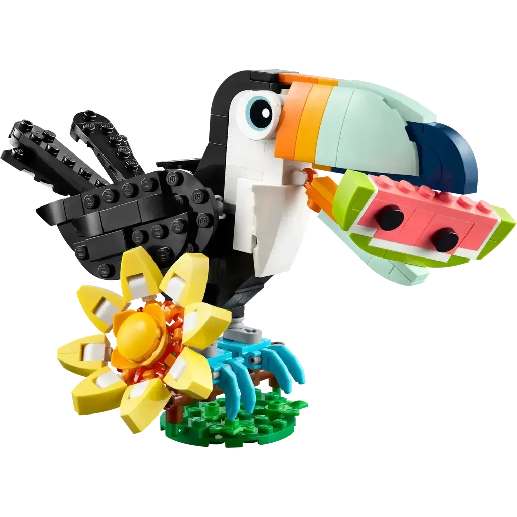 Wild Animals: Tropical Toucan