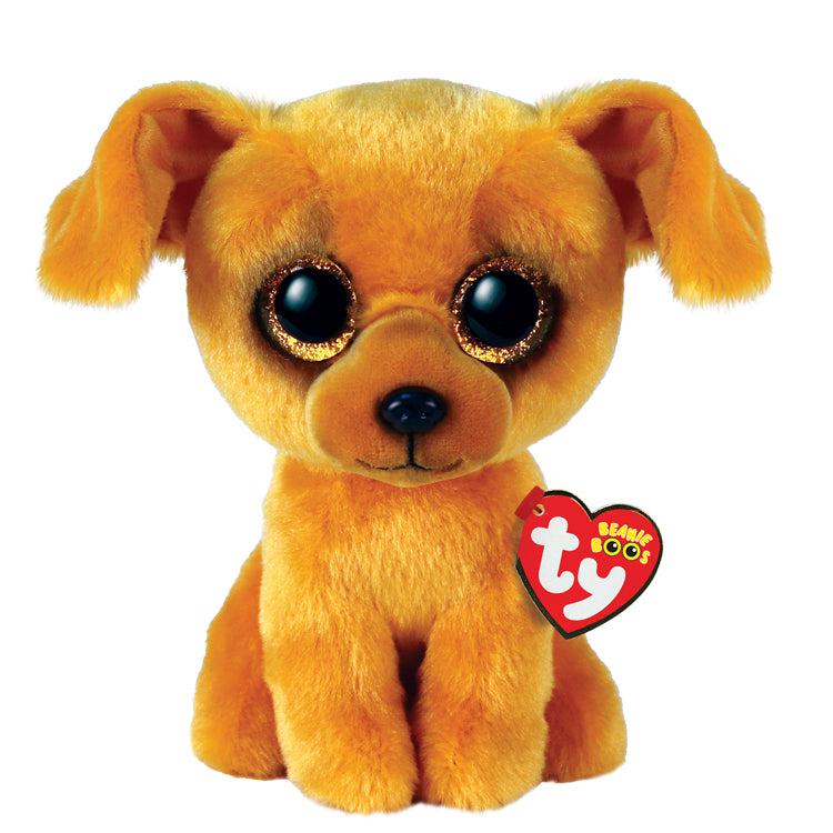 Zuzu - Small Dog